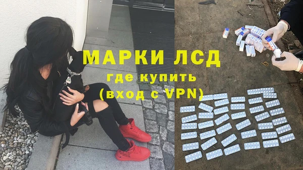 гидропоника Алексеевка
