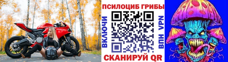 купить наркотик Нолинск Галлюциногенные грибы мицелий